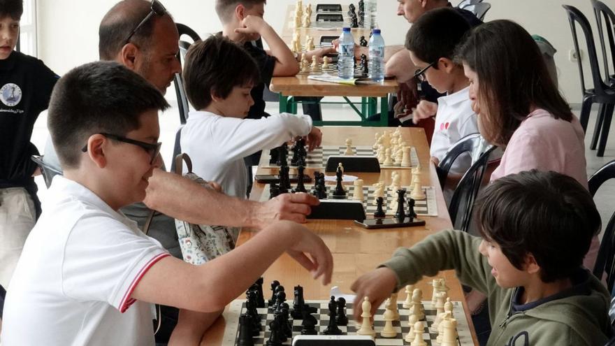 田径和国际象棋比赛纳入绿色周活动