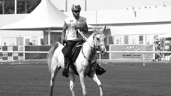 哈扎·本·苏丹..“体育成就骑士”的离开